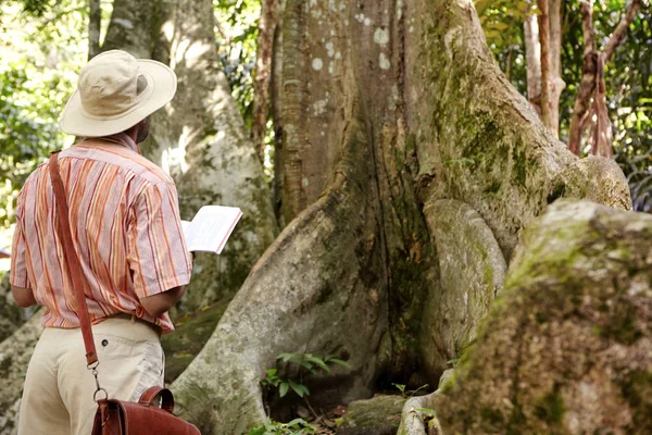 Biologist exploring jungle in tropical country