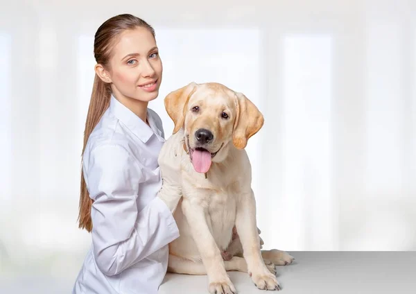 female doctor with canine patient