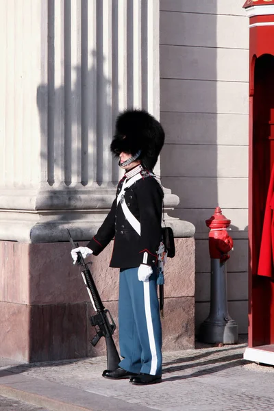 The Royal Guard in Copenhagen, Denmark