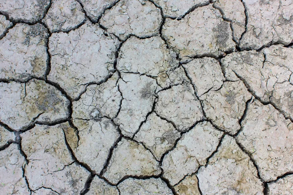 Soil Cracked arid pattern for background.