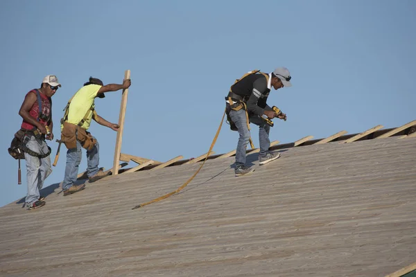 Team of workers building a wood roof
