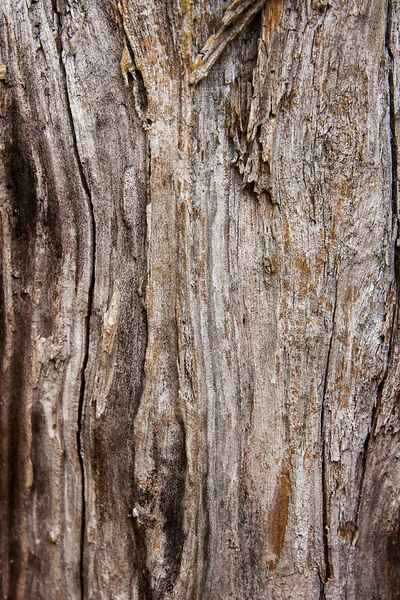 Abstract wooden texture.