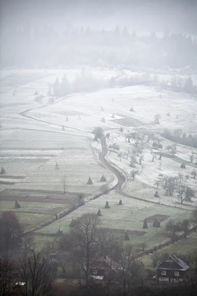 Apple orchard in late fall. First snow laid down