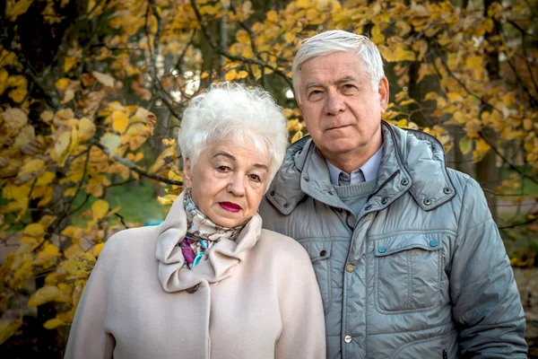 Beautiful happy old people sitting in the autumn park