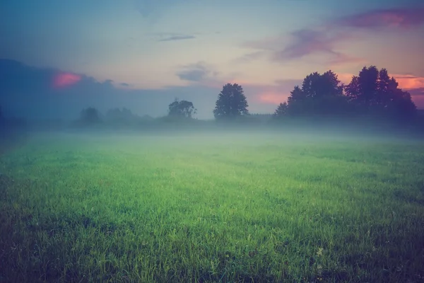 Vintage photo of wild foggy meadow landscape