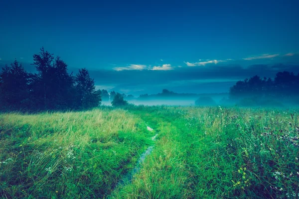 Vintage photo of wild foggy meadow landscape