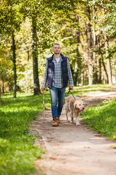 Young man walking a dog at the park