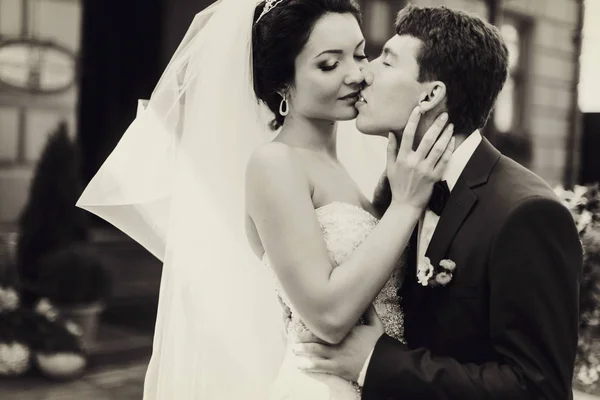A black and white picture of groom kissing a bride delicately