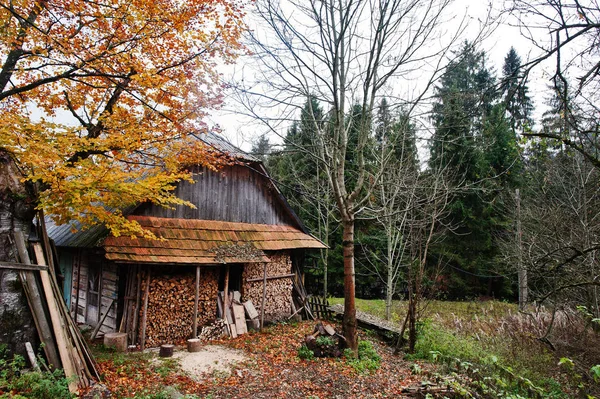 Old abandoned house wooden house on forest in autumn.