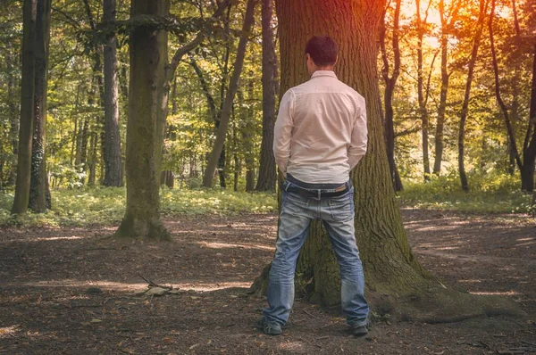 Standing Man Peeing Near Big Tree In Autumn Forest Stock Photo By