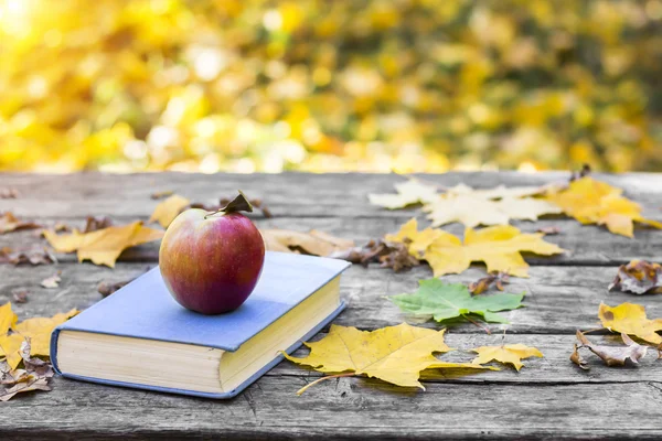 Book on the old wooden table, covered in yellow maple leaves. Back to school. Education concept. Beautiful autumn background. Picturesque composition at sunset. Weekend in the Park.
