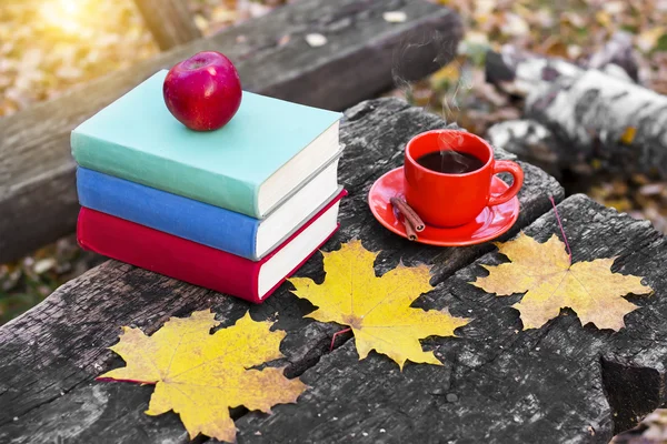 Stack of colorful books and a cup of hot coffee on old wooden table in the forest. Back to school. Education concept. Beautiful autumn background. Picturesque composition. Weekend in the Park.