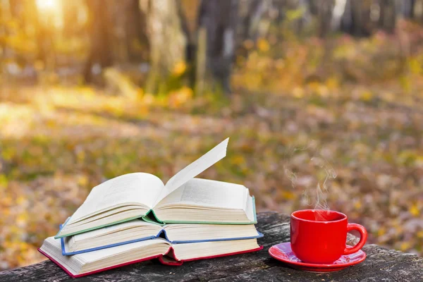 Stack of colorful books and a cup of hot coffee on old wooden table in the forest. Back to school. Education concept. Beautiful autumn background. Picturesque composition. Weekend in the Park.