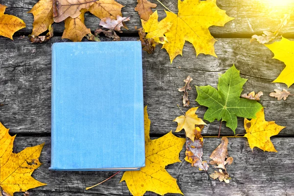 The book  on the old wooden table, covered in yellow maple leaves. Back to school. Education concept. Beautiful autumn background. Picturesque composition. Weekend in the Park.