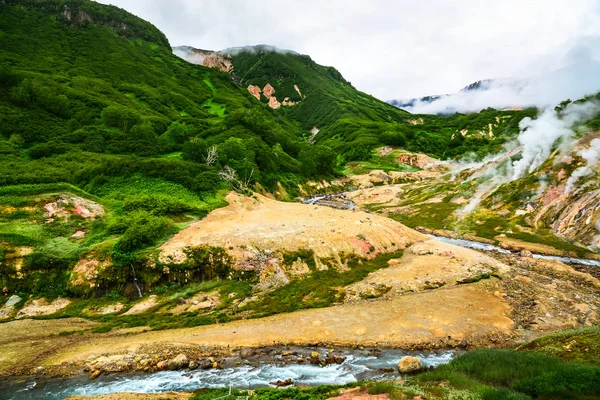 The legendary Valley of Geysers in the summer. Kamchatka, Russia