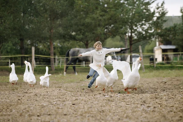 Sweet happy little girl running after a flock of geese on farm his arms to the side and smiling. Lifestyle portrait