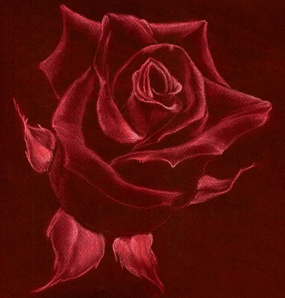 Rose - pastel drawing. Use printed materials, signs, items, websites, maps, posters, postcards, packaging.
