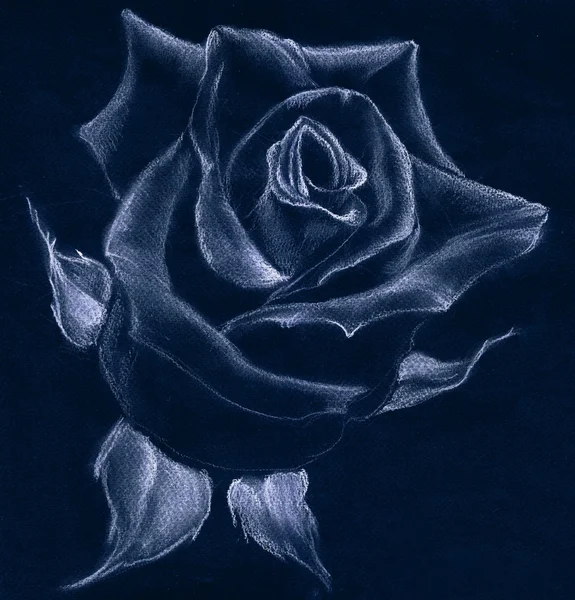 Rose - pastel drawing. Use printed materials, signs, items, websites, maps, posters, postcards, packaging.