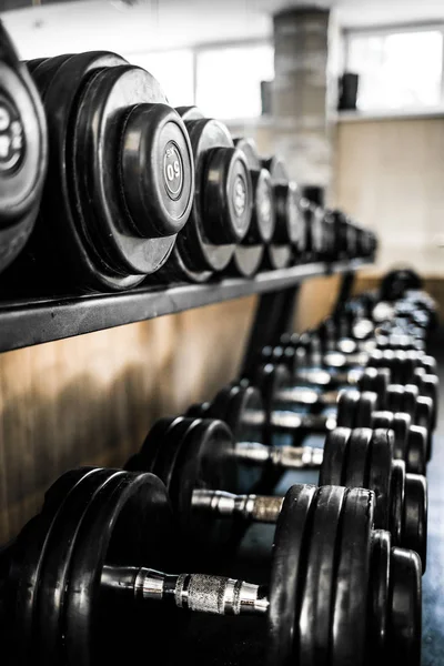 Sport Background. Rack of dumbbells in health club. Shelf with metal on gym studio room backdrop.