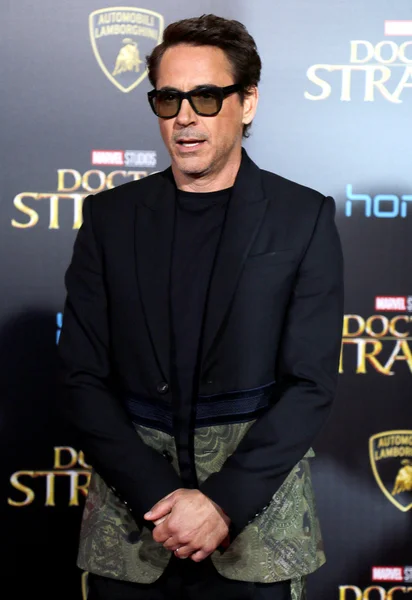Actor Robert Downey Jr.