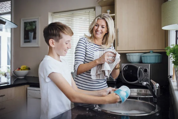 Mother and Son Doing the Dishes