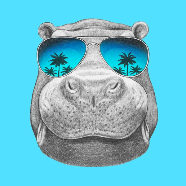 Hippo with sunglasses