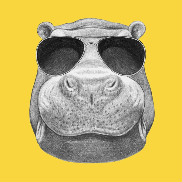 Hippo with sunglasses