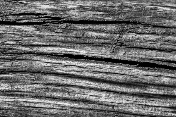 Old Knotted Wood Weathered Rotten Cracked Bleached And Stained Gray Grunge Texture