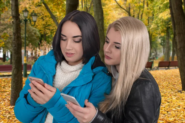 girlfriends walk in the park and look in phones