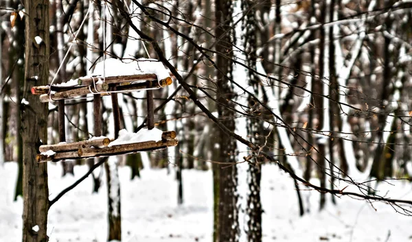 Feeding trough for birds in a snowy forest close up