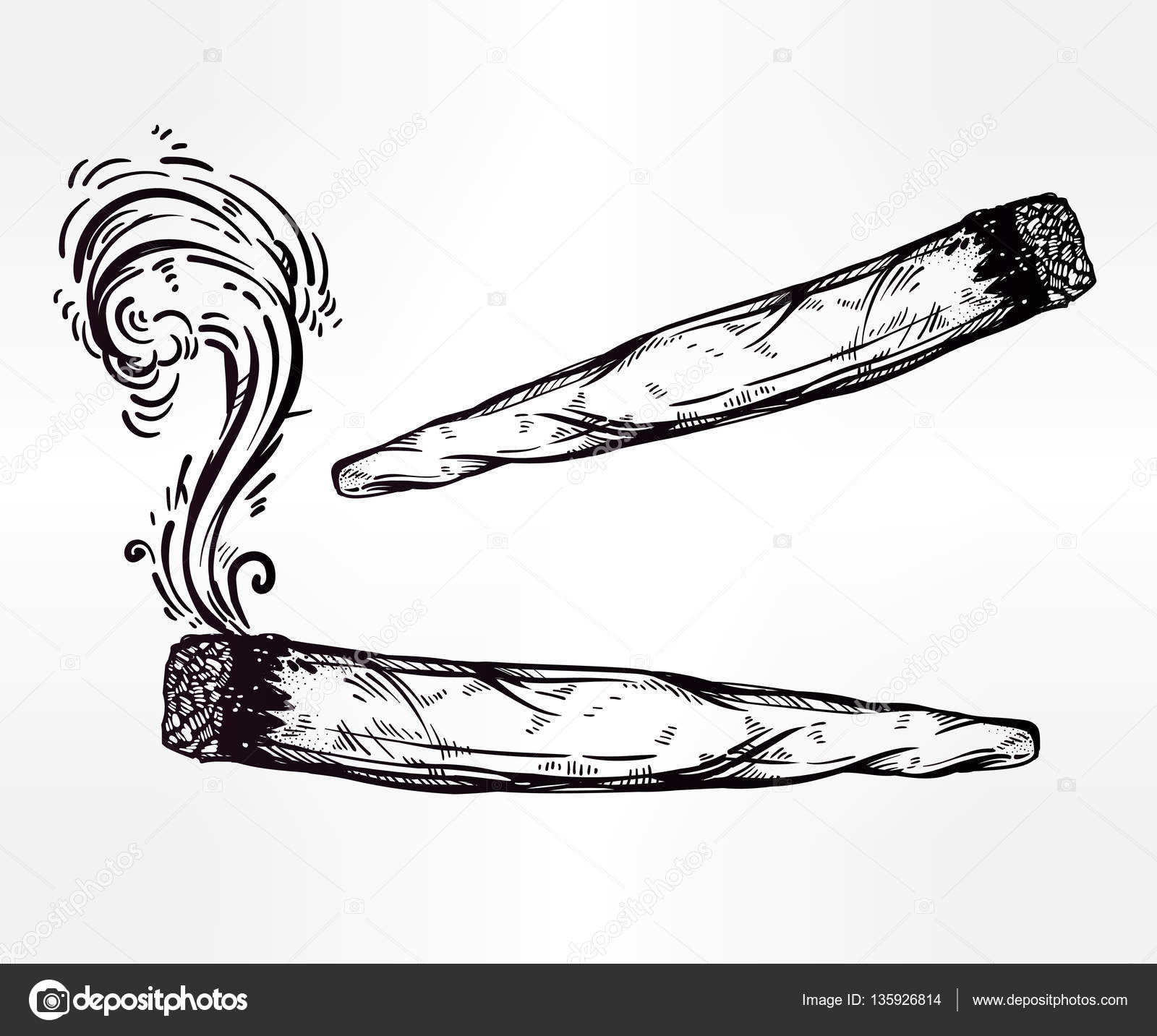 Dos tipos de dibujos de articulación o canuto de malezas — Vector de