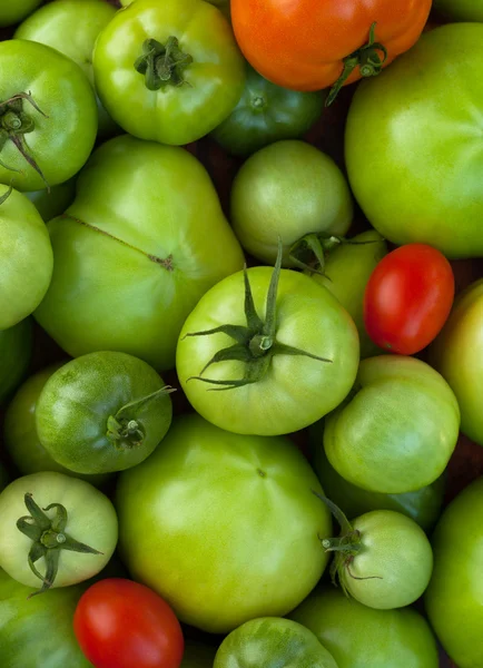 Red And Green Tomatoes