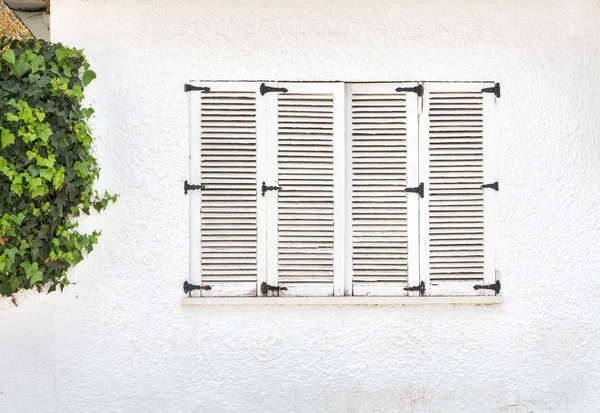 Vintage window, Old wooden window and green ivy on white wall