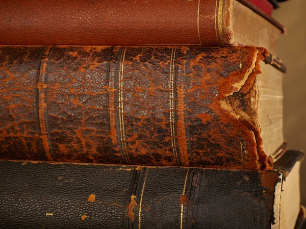 Books spine close-up