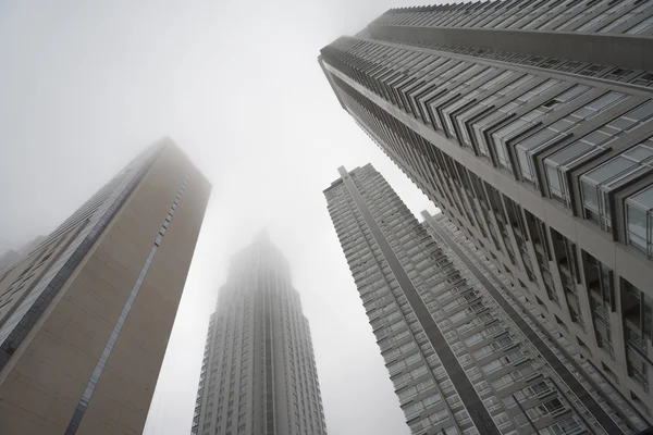 Downtown skyscrapers under the fog skyline