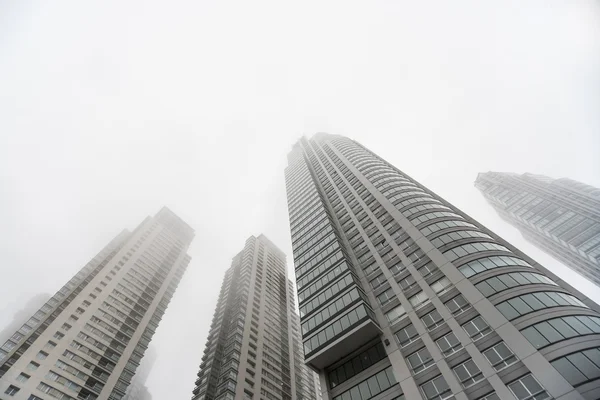Downtown skyscrapers under the fog skyline