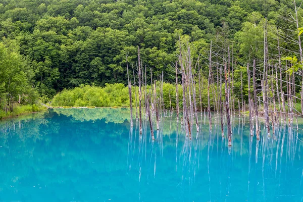 Blue pond on Hokkaido island, Japan