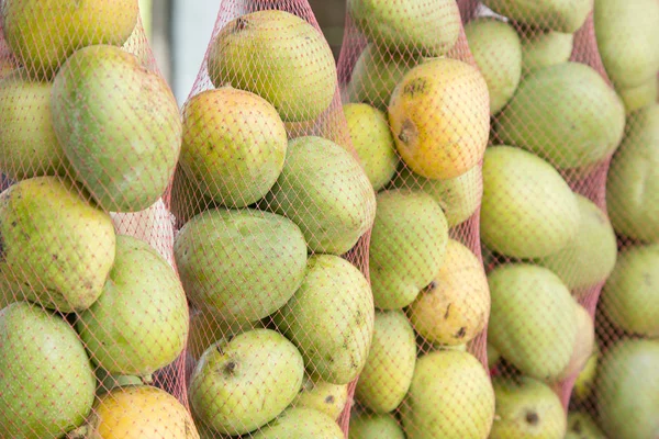 Delicious mango fruit (Mangifera indica)
