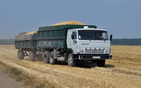 Transporting grain field