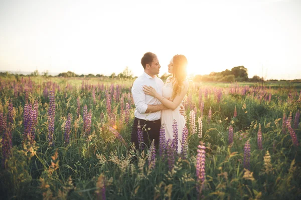 Bride and groom, rissing at sunset on a beautiful field with flowers, romantic married couple