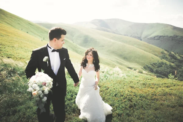 Gorgeous bride and stylish groom walking at sunny landscape, wedding couple, luxury ceremony mountains with amazing view, space for text