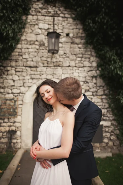 Gorgeous newlywed posing near beautiful wall of plants bushes trees in their wedding day
