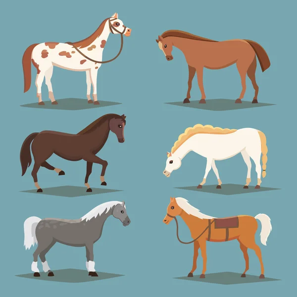 Cute horses in various poses vector design. Cartoon farm wild isolated vector hoses. Collection of animal horse standing . Different silhouette