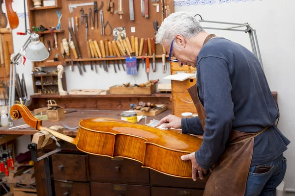 Portrait of mature violin maker while testing the violins in his