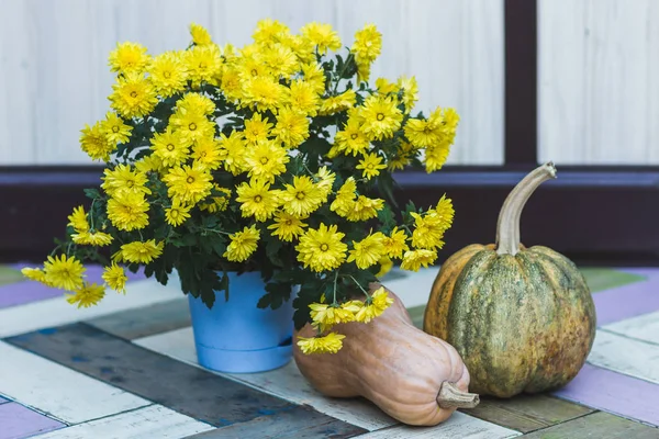 Pumpkins and yellow flowers