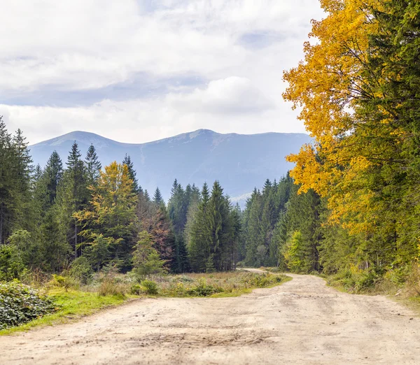 The mountain autumn landscape with colorful forest. Colorful aut