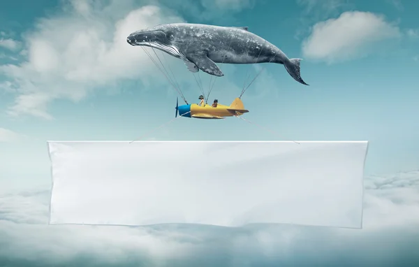 Whale with aircraft and two girls over banner