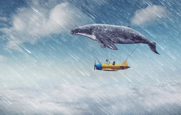Whale with aircraft and two girls over clouds