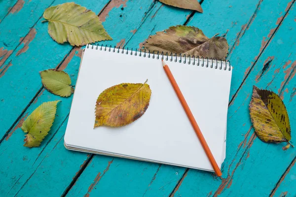 Color pencil and fallen leaves