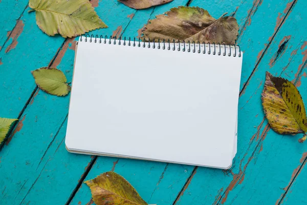 Notebook lies near to the fallen leaves